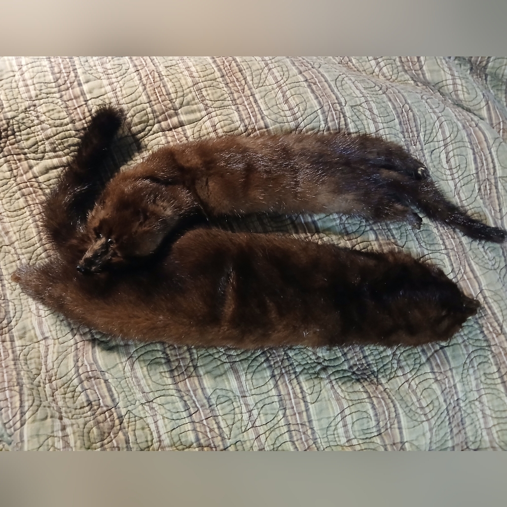Classic Dark Brown Mink Fur Stole - Women's Scarf & Wrap